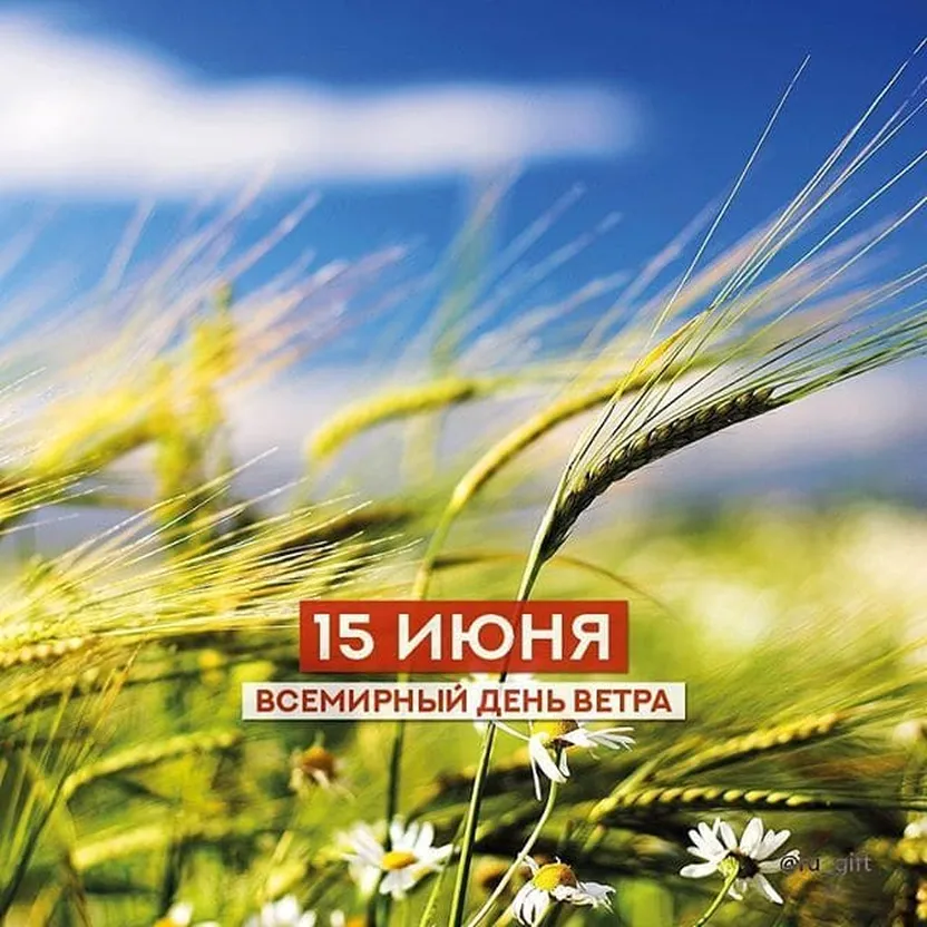 Официальная открытка с днем ветра - скачать бесплатно на otkrytkivsem.ru