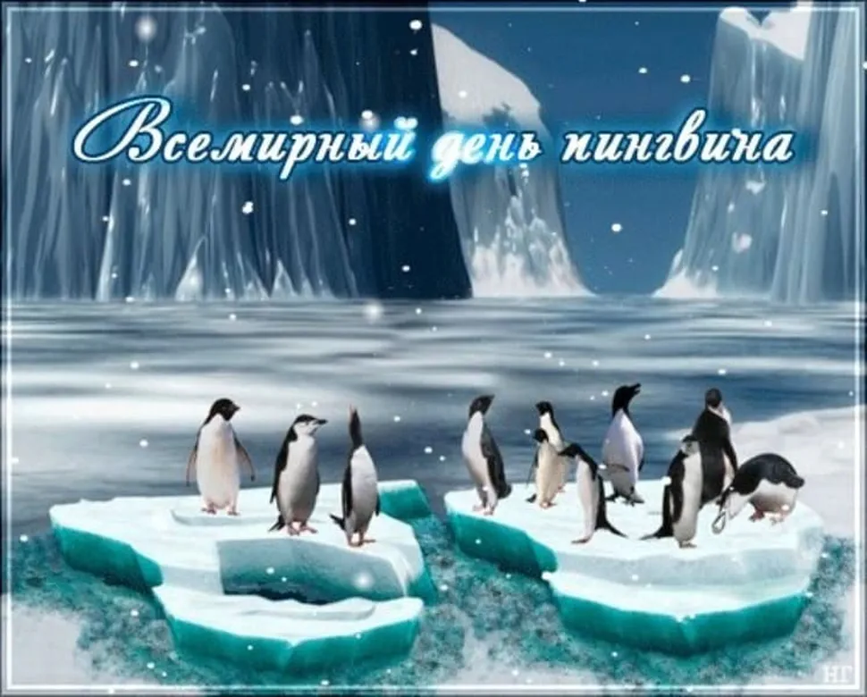 Открытка с днем пингвинов в Вайбер или Вацап - скачать бесплатно на otkrytkivsem.ru
