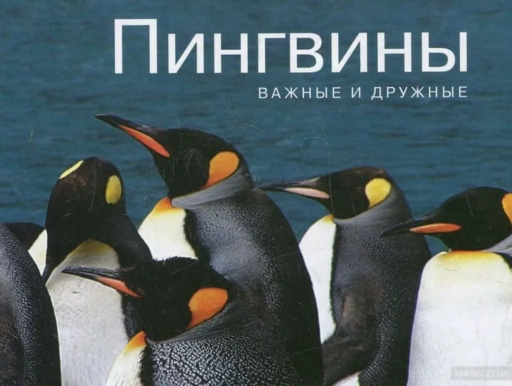 Поздравительная картинка с днем пингвинов - скачать бесплатно на otkrytkivsem.ru
