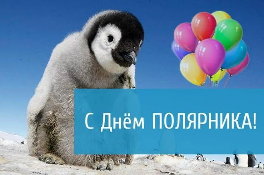 Поздравительная картинка с днем полярника России - скачать бесплатно на otkrytkivsem.ru