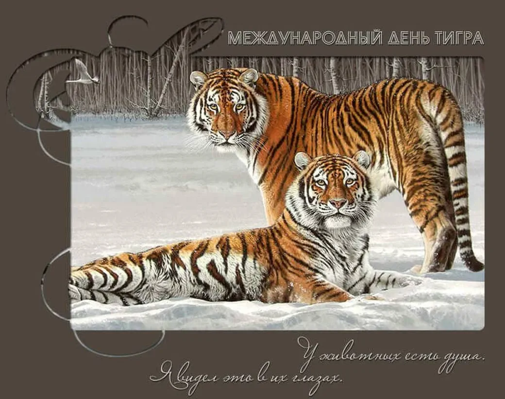 Поздравительная картинка с днем тигра - скачать бесплатно на otkrytkivsem.ru