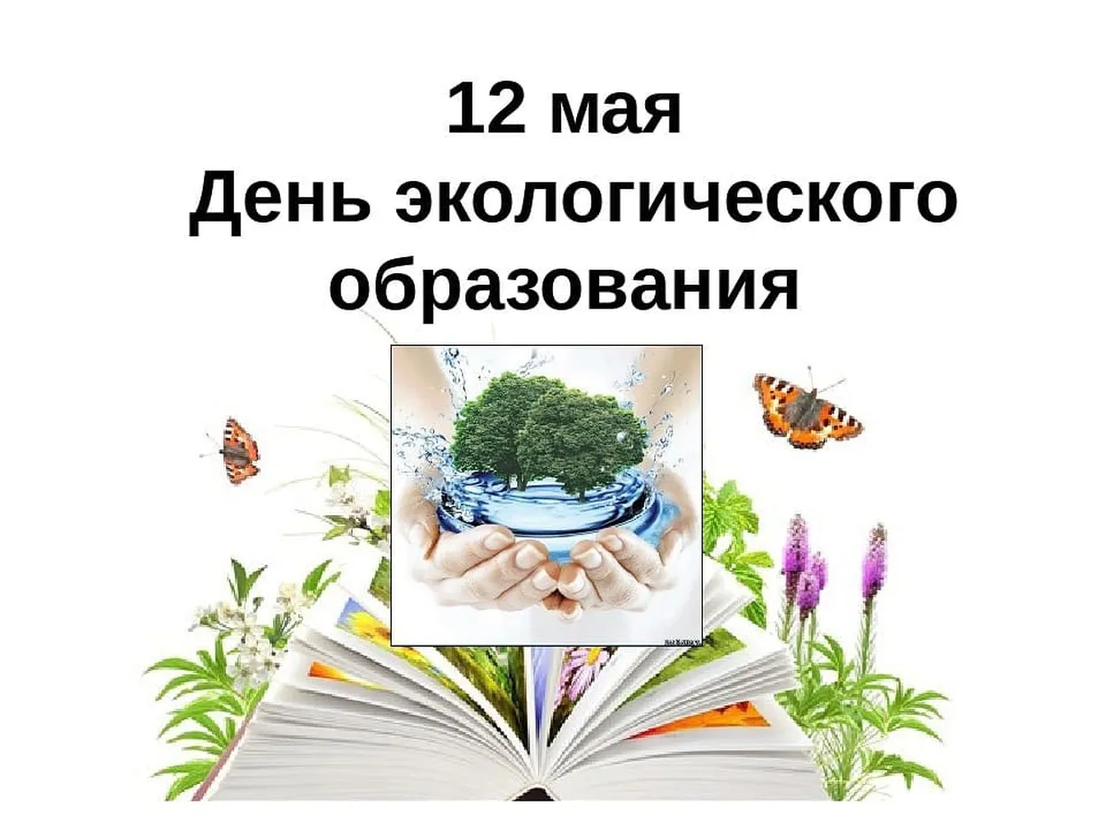 Поздравительная открытка с днем экологического образования - скачать бесплатно на otkrytkivsem.ru