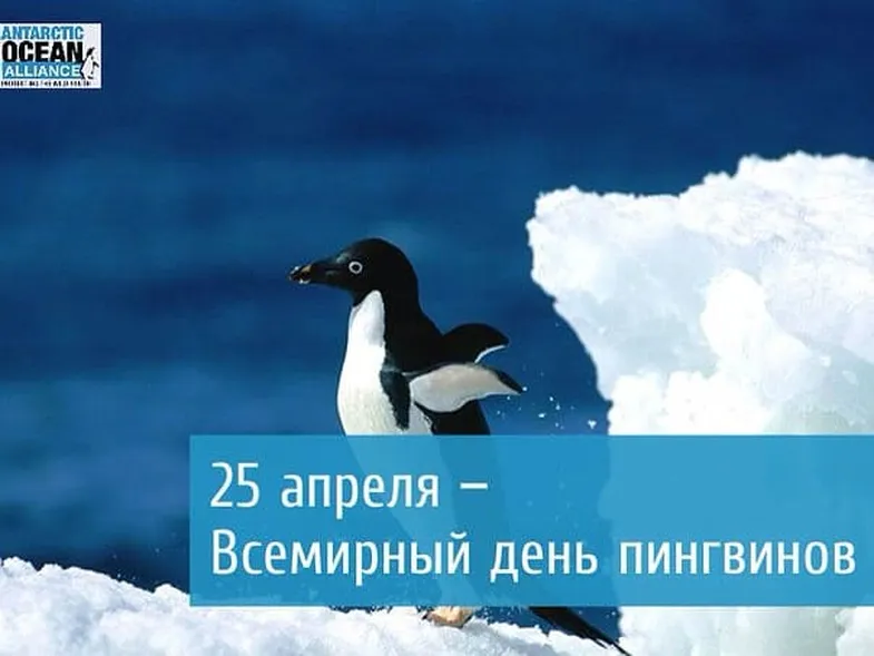 Поздравительная открытка с днем пингвинов - скачать бесплатно на otkrytkivsem.ru