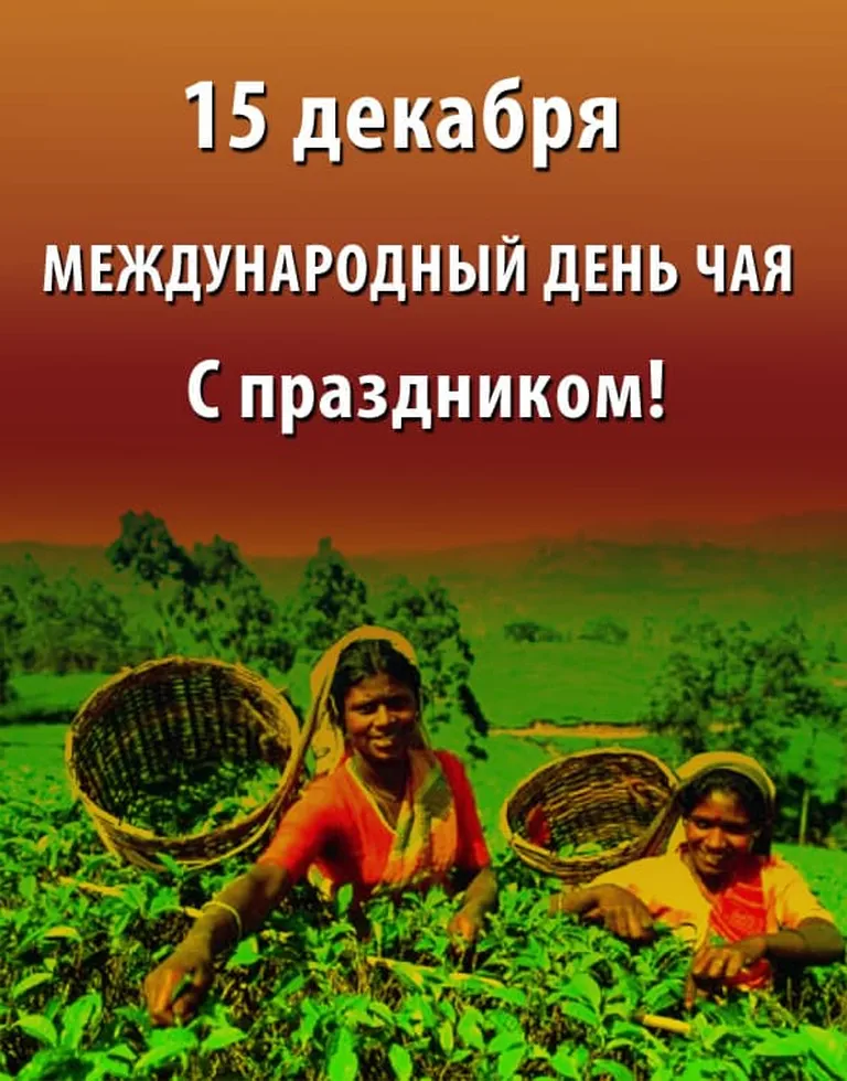 Яркая картинка с днем чая - скачать бесплатно на otkrytkivsem.ru