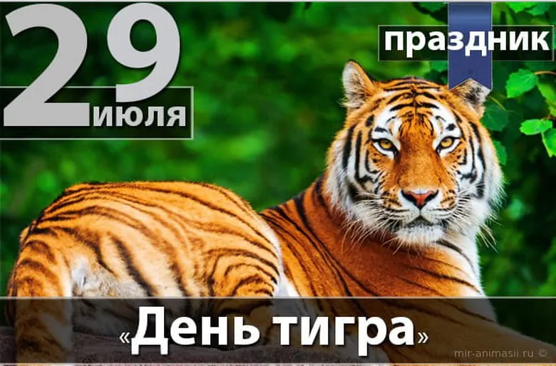 Яркая картинка с днем тигра - скачать бесплатно на otkrytkivsem.ru
