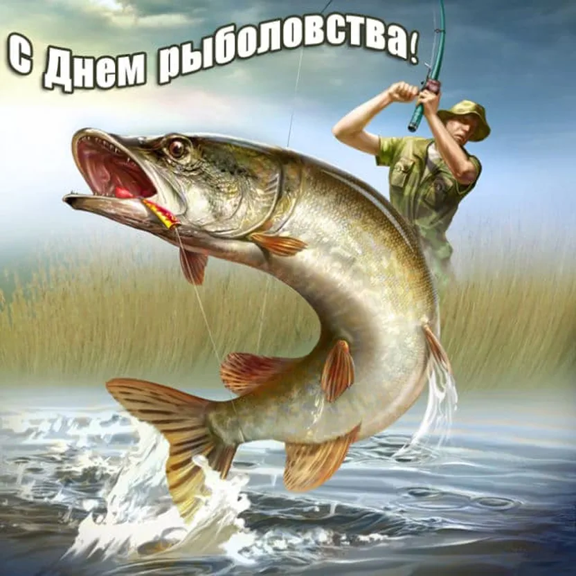 Яркая открытка с днем рыболовства - скачать бесплатно на otkrytkivsem.ru
