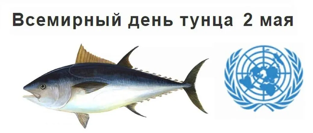 Яркая открытка с днем тунца - скачать бесплатно на otkrytkivsem.ru