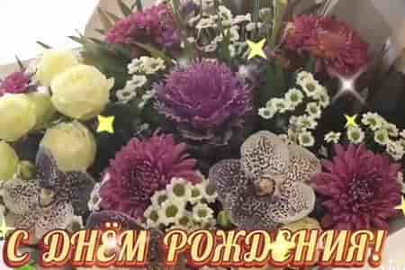 Видео Поздравление ко Дню Рождения - скачать бесплатно на otkrytkivsem.ru