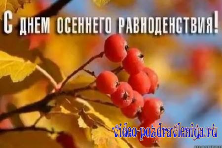 Видео Поздравление с Днём Осеннего Равноденствия - скачать бесплатно на otkrytkivsem.ru