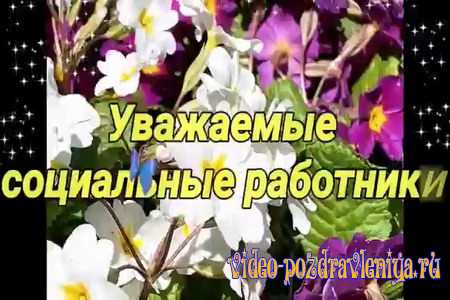 Видео Поздравление с Днём Соц Работника - скачать бесплатно на otkrytkivsem.ru