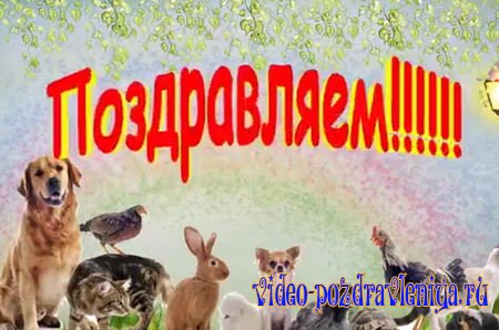 Видео Поздравление с Днём Ветеринара - скачать бесплатно на otkrytkivsem.ru