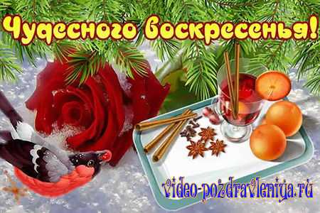 Видео Пожелание Чудесного Воскресенья - скачать бесплатно на otkrytkivsem.ru