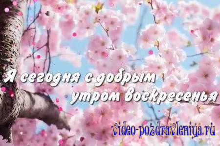 Видео Пожелания Доброго Утра в Воскресение - скачать бесплатно на otkrytkivsem.ru